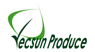 Vecsun Enterprises P/L trading as Vecsun Produce